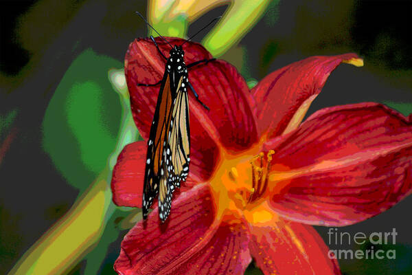 Butterfly Poster featuring the digital art Monarch Lily by Jack Ader