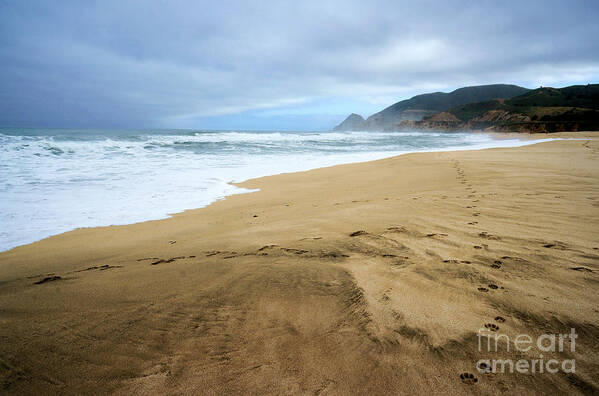 Beaches Poster featuring the photograph Montara Beach by Ellen Cotton