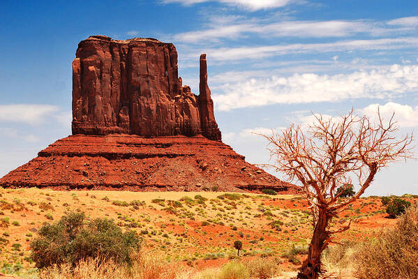 Dirt Poster featuring the photograph Monument Mitten by Gregory Ballos