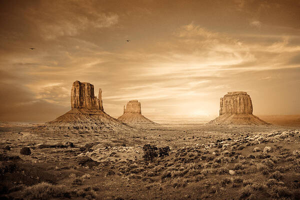 Monument Valley Poster featuring the photograph Monument Valley Golden Sunset by Good Focused