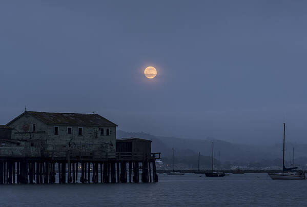 Moon Poster featuring the photograph Moonrise over the Harbor by Alex Lapidus