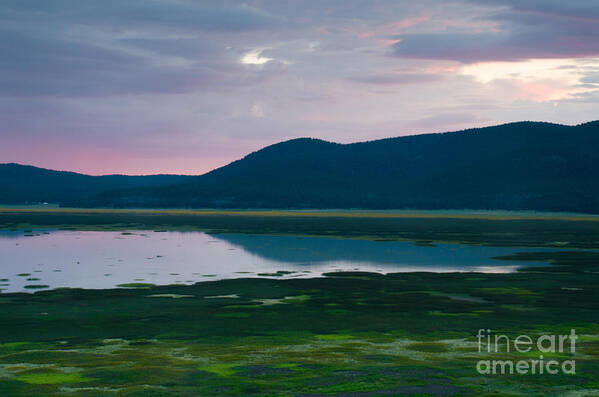 Landscape Poster featuring the photograph Mormon Lake Sunset by Tamara Becker
