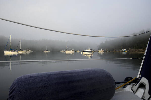 Fog Poster featuring the photograph Morning Fog by Bob VonDrachek