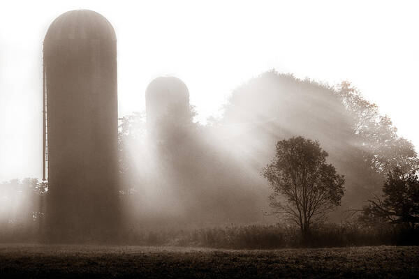 Landscape Poster featuring the photograph Morning fog burning off the farm by Chris Bordeleau