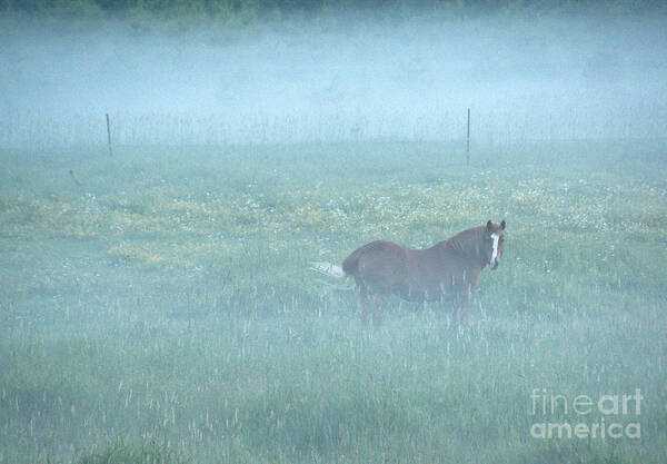 Landscape Poster featuring the photograph Morning Mist by Cheryl Baxter
