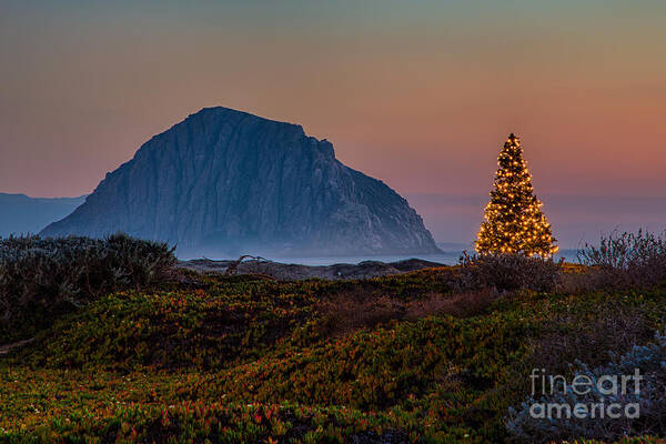 Morro Bay Poster featuring the photograph Morro Bay Sunset And Christmas Tree by Mimi Ditchie