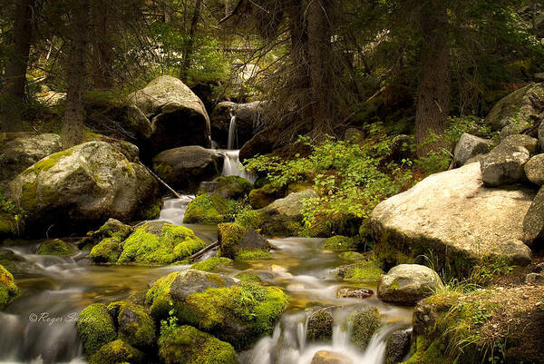 Beautiful Poster featuring the photograph Mossy Falls 1 by Roger Snyder