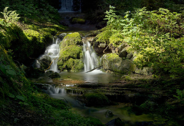 Beautiful Poster featuring the photograph Mossy Rocks Waterfall 1 by Roger Snyder