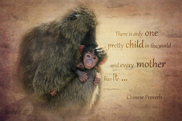 Monkey Poster featuring the photograph Mother's Love by Barbara Orenya