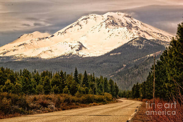 Mount Shasta Poster featuring the photograph Mount Shasta by Paul Gillham