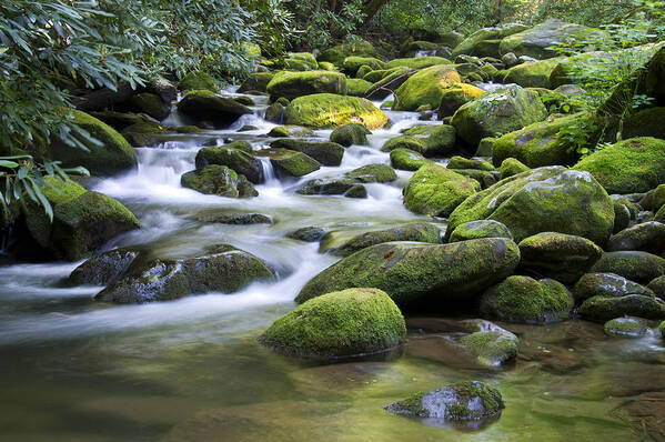 Brook Poster featuring the photograph Mountain Stream 1 by Larry Bohlin