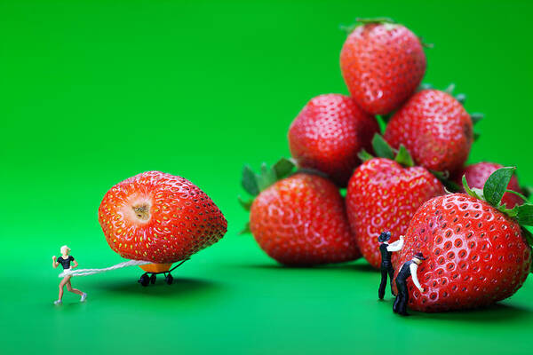 Physics Poster featuring the photograph Moving strawberries to depict friction food physics by Paul Ge