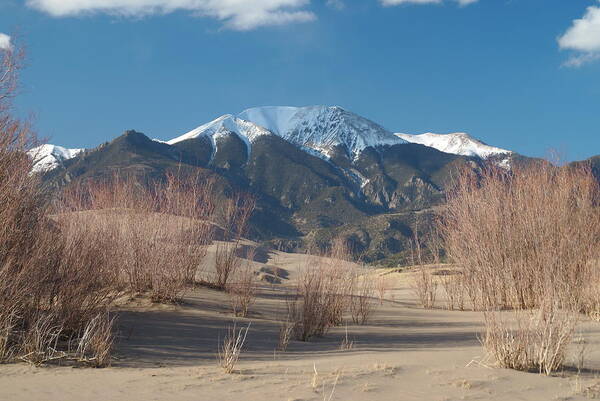 Sand Poster featuring the photograph Mt. Herard And The Sand Dunes Colorado by Bj Hodges