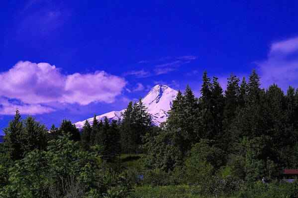 Mountains Poster featuring the photograph Mt Hood by Jeff Swan