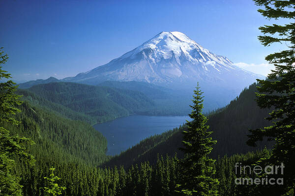 Mt. St. Helens Poster featuring the photograph Mt. Saint Helens by Thomas & Pat Leeson
