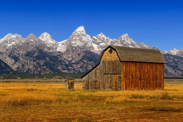 Mormon Row Poster featuring the photograph Murphy Barn by Greg Norrell