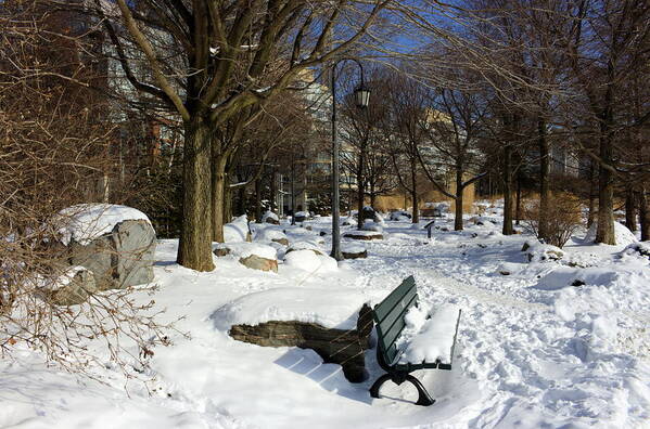 Blue Sky Poster featuring the photograph Music Garden Winter by Nicky Jameson