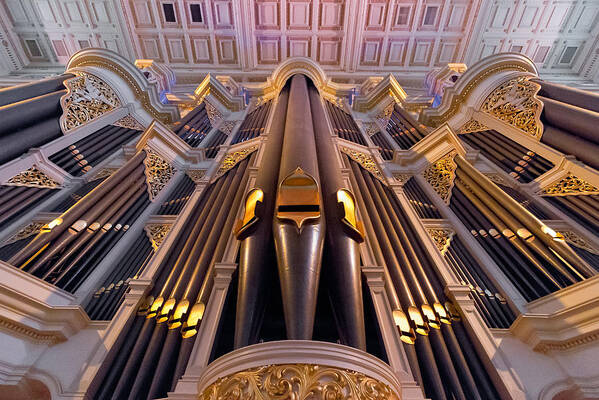 Pipe Organ Poster featuring the photograph Musical aspirations by Jenny Setchell