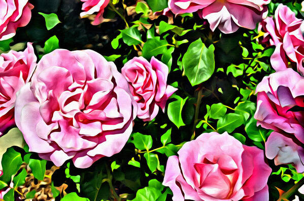 Roses Poster featuring the photograph Nana's Roses by Spencer Hughes