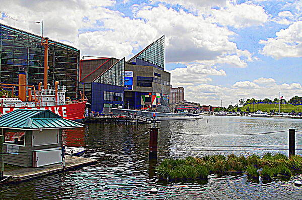 Baltimore Poster featuring the photograph National Aquarium Baltimore Maryland by Pamela Hyde Wilson