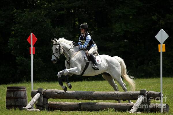 Horse Poster featuring the photograph Natural Eventers by Janice Byer