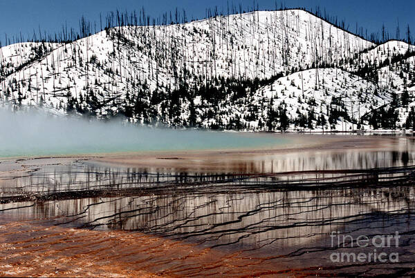 Yellowstone National Park Poster featuring the photograph Nature's Mosaic I by Sharon Elliott