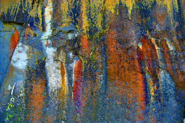 Abstract Poster featuring the photograph Nature's Painting by Lisa Chorny