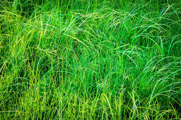 Glacier National Park Poster featuring the photograph New Grasses Glacier National Park Painted by Rich Franco