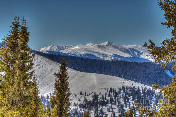 Cgore Range Poster featuring the photograph New York Mountain CO by Franz Zarda