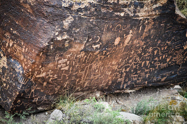 Petroglyphs Poster featuring the photograph Newspaper Rock by Cheryl McClure