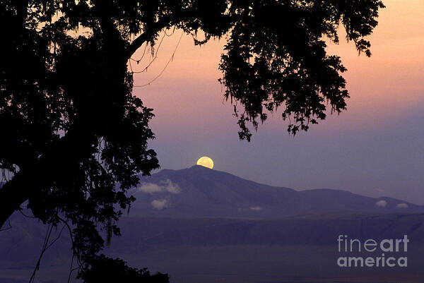 Tourism Poster featuring the photograph Ngorongoro Crater Moonrise Tanzania by Craig Lovell
