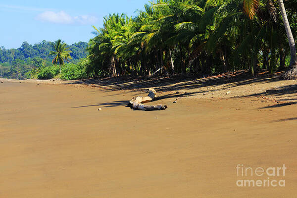 Costa Rica Poster featuring the photograph No footprint beach by Bob Hislop