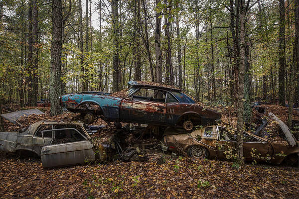 Car Poster featuring the photograph No Parking by Debra and Dave Vanderlaan