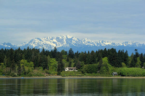 Olympic Mountains Poster featuring the photograph Northwest Living by E Faithe Lester