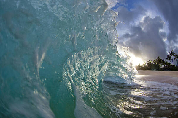 Coconut Curl Poster featuring the photograph Coconut Curl by Sean Davey