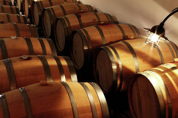 Alcohol Poster featuring the photograph Oak Barrels In A Cellar by Seraficus