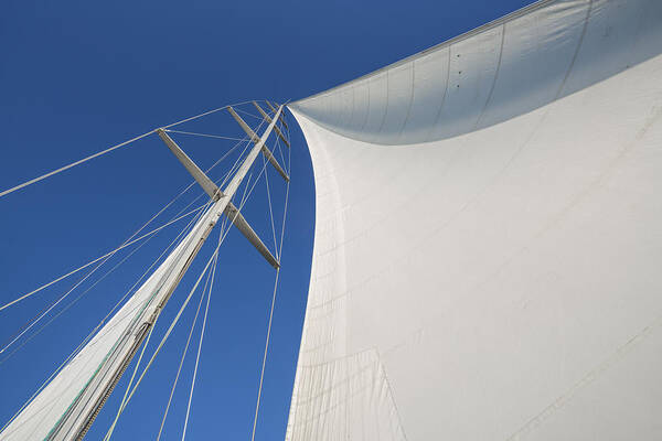 Sails Poster featuring the photograph Obsession Sails 3 by Scott Campbell