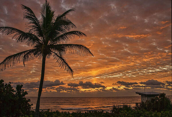 Sunrise Poster featuring the photograph Oceanfront Park Sunrise 2 by Don Durfee