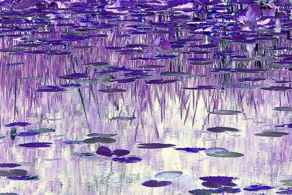 Ode To Monet Poster featuring the photograph Ode to Monet in Purple by Chris Anderson