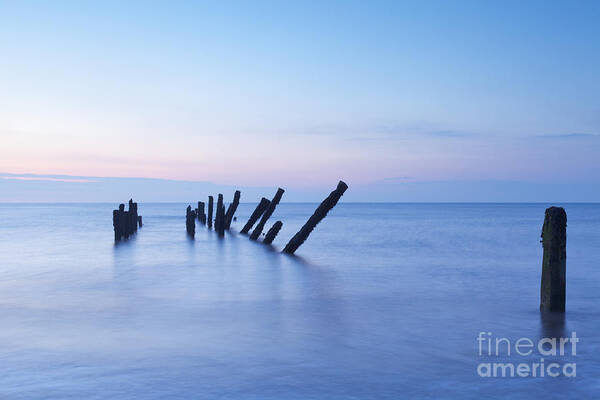 Blue Poster featuring the photograph Old Jetty Posts at Sunrise by Colin and Linda McKie