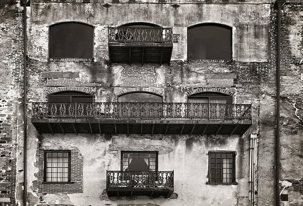 Sepia Poster featuring the photograph Old Savannah by Mario Celzner