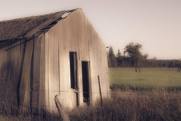 Shed Poster featuring the photograph Old Shed by Craig Perry-Ollila