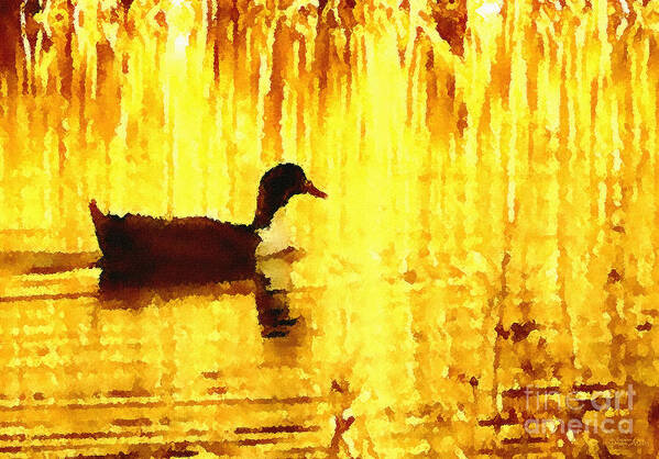 Duck Poster featuring the digital art On Golden Pond by Cristophers Dream Artistry