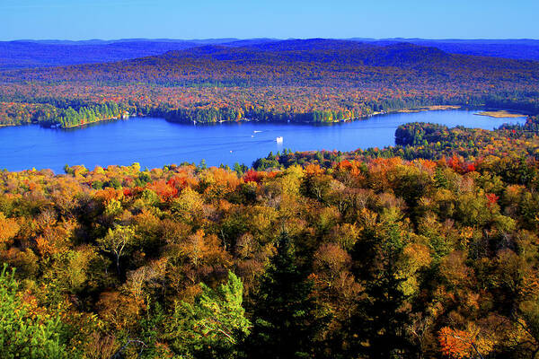 Adirondack's Poster featuring the photograph On Top of Bald Mountain by David Patterson