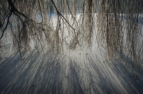 Ice Poster featuring the photograph Oosterpark Amsterdam by Jerry Daniel