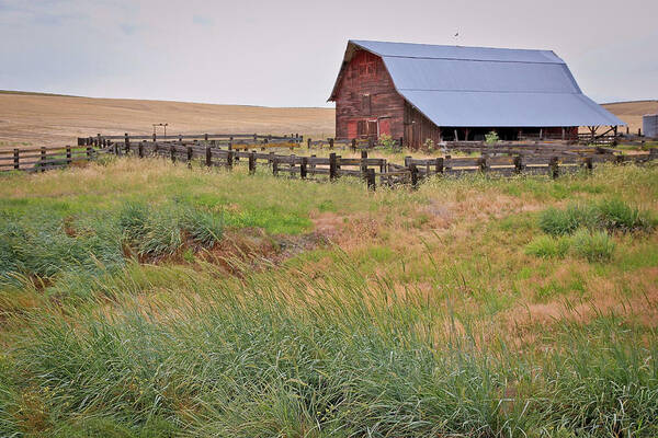 Barn Poster featuring the photograph Open Range by Athena Mckinzie
