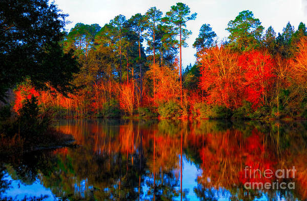 Art Prints Poster featuring the photograph Orange Reflections by Dave Bosse