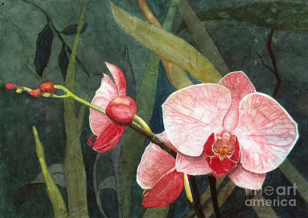 Flowers Poster featuring the painting Orchid Trio 2 by Barbara Jewell