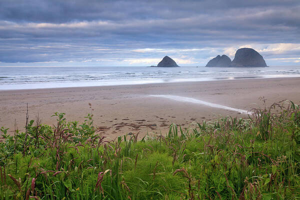 Water's Edge Poster featuring the photograph Oregon Coast by Helminadia