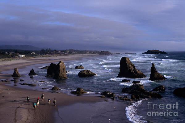 Pacific Northwest Poster featuring the photograph Oregon Coastline by Jim Corwin
